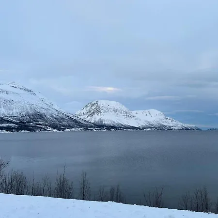 Sjursnes, Lyngen Alps, Aurora Borealis * Tromso